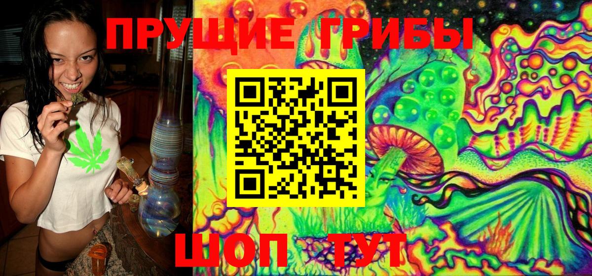 Псилоцибиновые грибы прущие грибы Балабаново