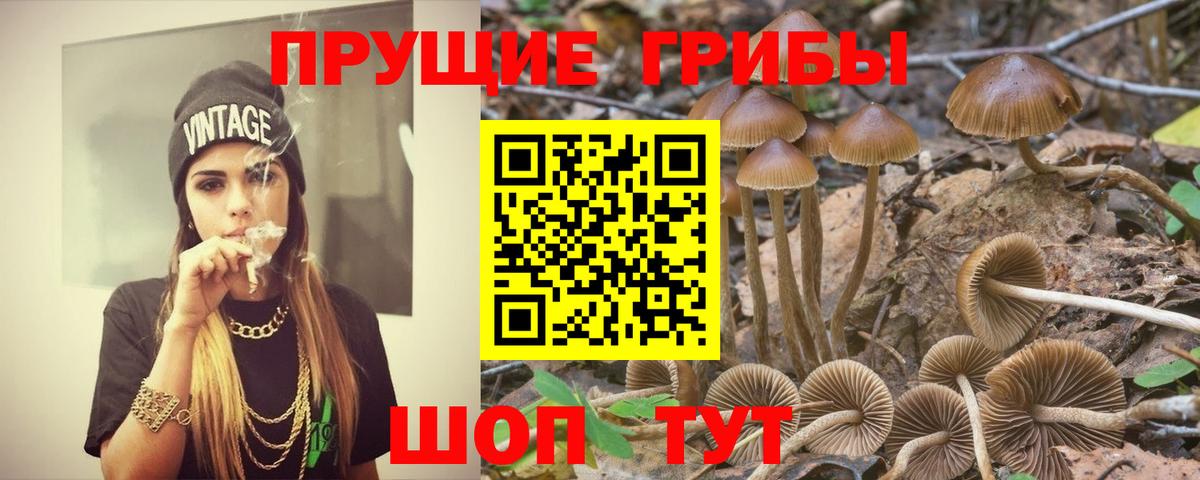 Псилоцибиновые грибы мухоморы  Вход с VPN  Балабаново 
