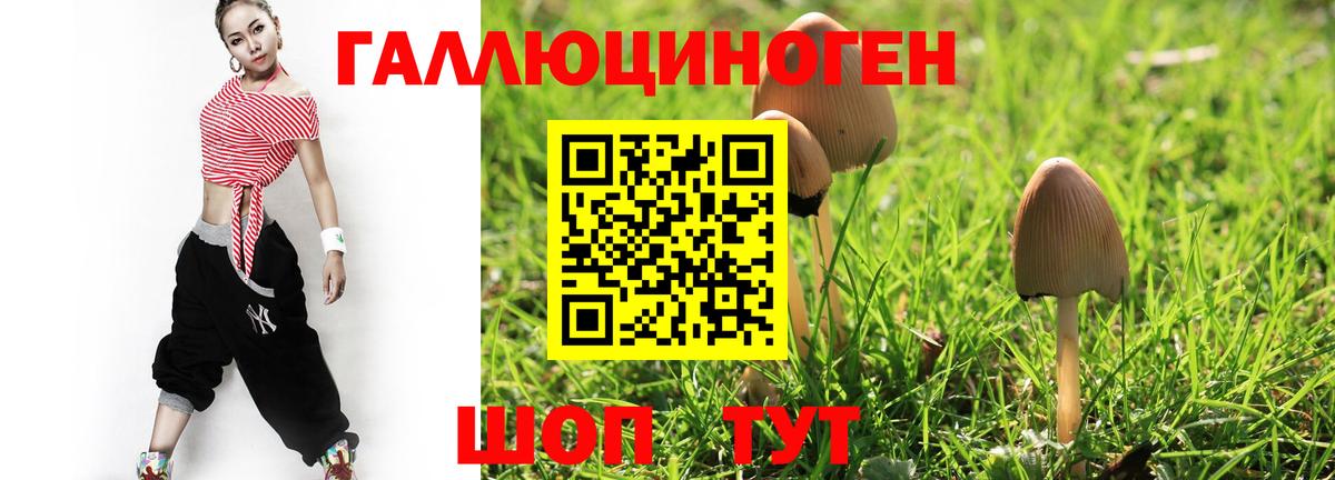 Псилоцибиновые грибы Cubensis  Балабаново 